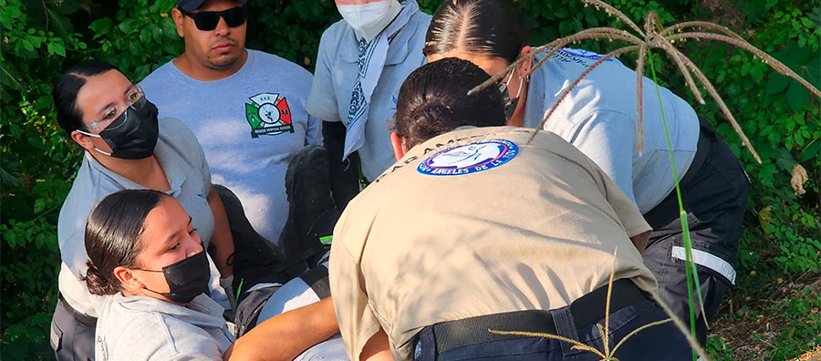 Instituto Ángeles de la Vida